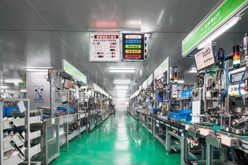 科技賦能，服務創優——區科技局深化信息技術咨詢服務新路徑